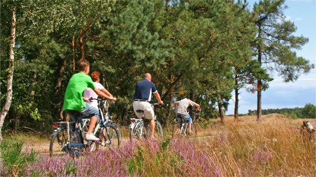 Fietsen en wandelen
